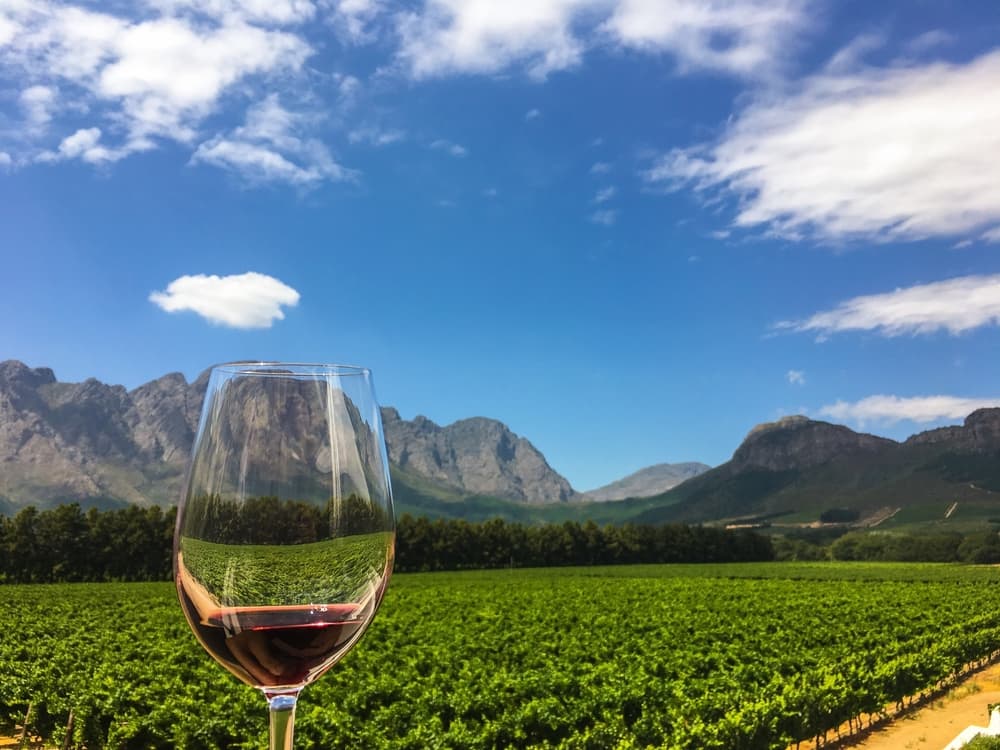 Ruta de los vinos de Stellenbosch